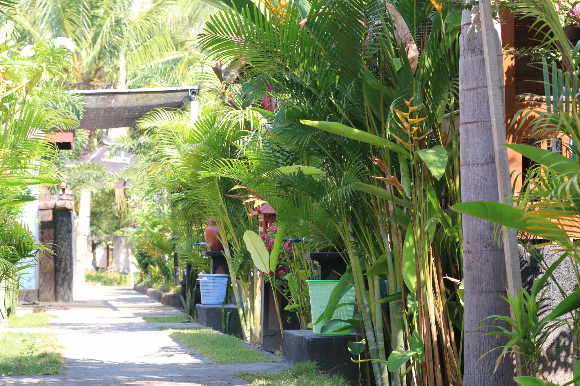 Color Cottage Gili Air Buitenkant foto